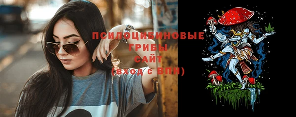 стафф Богородск