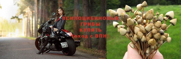 таблы Белокуриха