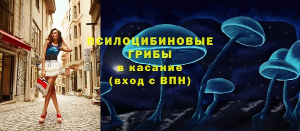 мяу мяу мука Беломорск