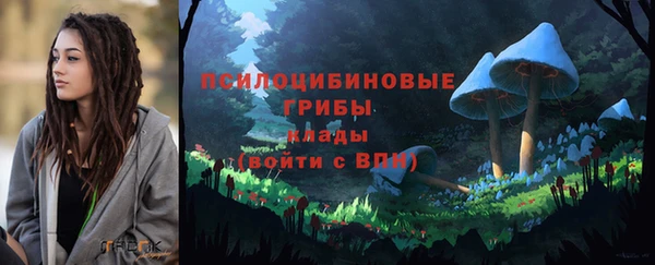 таблы Белокуриха