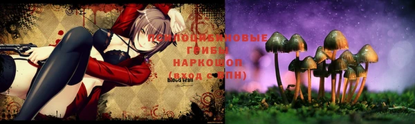 таблы Белокуриха